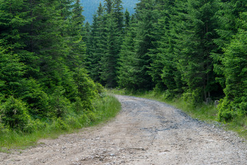 A nature landscape in Transylvania region