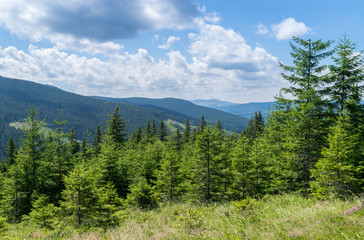 Fototapeta na wymiar A nature landscape in Transylvania region