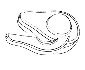 fresh avocado vegetable icon
