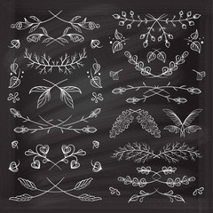 Hand drawn floral elements set on the chalkboard.