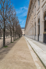 Fototapeta na wymiar Paris, the Palais Royal gardens, beautiful alley, springtime 