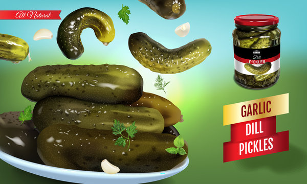 Vector realistic illustration of pickled cucumber. Horizontal banner with pickles.