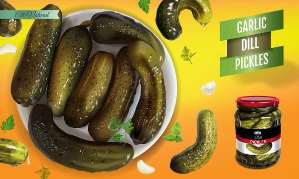 Vector realistic illustration of pickled cucumber. Horizontal banner with pickles.