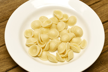 Pasta shell  in White Plate on wooden