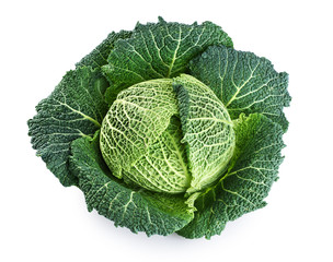 Savoy cabbage isolated on white background.
