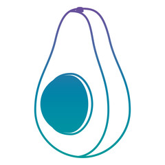 fresh avocado vegetable icon