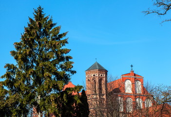 Fototapeta na wymiar Vilnius,Fragments of Church