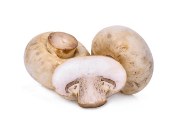 champignon mushroom isolated on white background