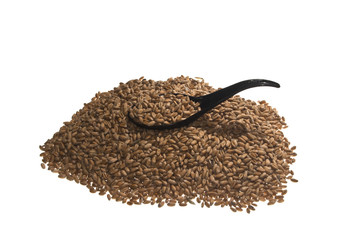 wheat isolated on white background