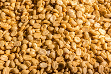 Yellow coffee beans, close up