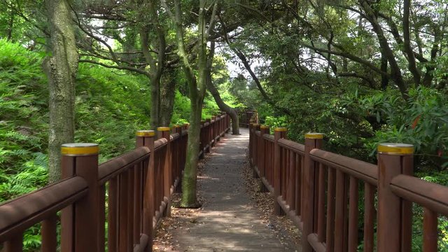 Wooden trail at the side of Soesokkak in Jeju. Soesokkak is a attraction famous for its beautiful terrain formed by stream and seawater erosion in rocks made of lava flow.