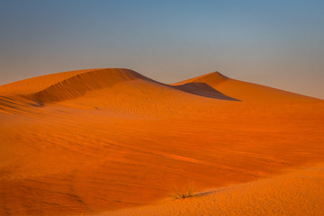 Fototapeta na wymiar Desert sunset exposure near Dubai, United Arab Emirates