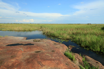 Lake Landscape - Lake Anapa - Uganda, Africa