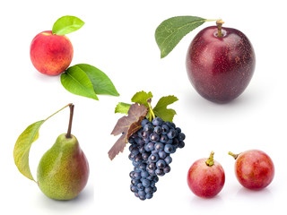 Collection of fresh fruits