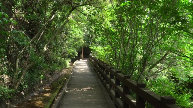 Trail at Cheonjeyeon waterfall. The falls is a three-tier waterfall, which is one of the most famous falls in Jeju, Korea. The forest around the falls was designated as a Natural Monument No.378.