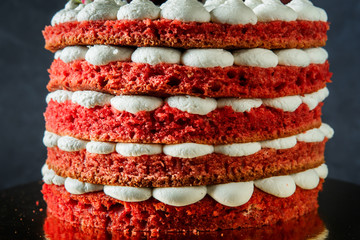 closeup sponge cake and bizet layers of colorful cake