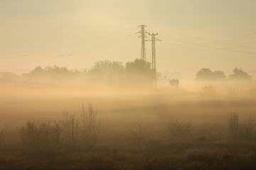 Torres de alta tensión, en fondo de neblina matinal, en otoño, invierrno, al amanecer.