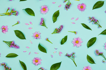 Flatlay floral background with daisies, wildflowers, petals and leaves, blue background.