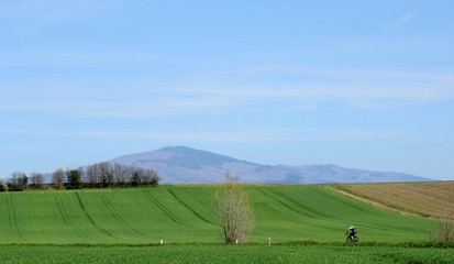 Obraz premium Cyclist crosses a country road among the green hills, as background a blue sky and mountain