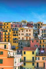 Colorful houses of Manarola, Liguria, Cinque Terre, northern Italy