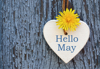 Hello May greeting card with decorative white heart and dandelion yellow flower on old blue wooden background.Springtime concept. Selective focus.
