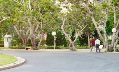 Old friends walking at the park, good health can not find in the mall