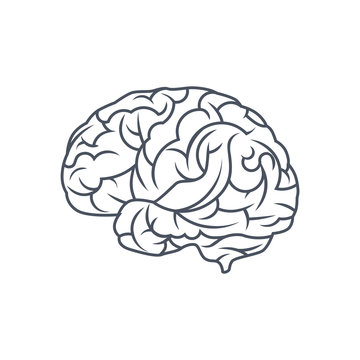 Brain Logo silhouette design vector template Line art style, Brainstorm think idea logo template