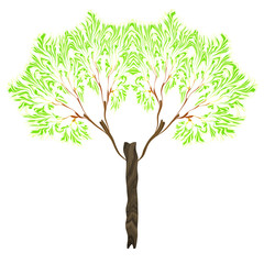 Obraz premium a fractal tree isolated on white