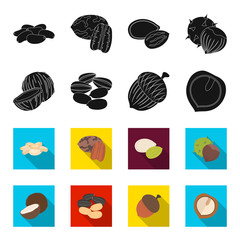 Coconut, acorn, sunflower seeds, manchueian walnut.Different kinds of nuts set collection icons in black,flet style vector symbol stock illustration web. © pandavector