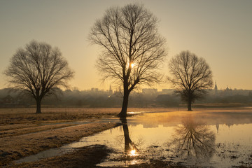 Spring flood in the meadow in the sunrise