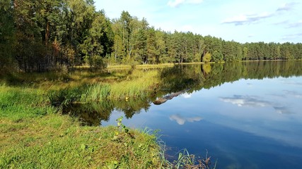 Fototapeta na wymiar landscape forest lake, forest, water, pine trees