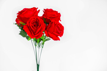 Rose - Flower, Flower, Single Flower, Petal, Plant
