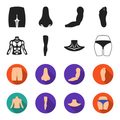 Torso, leg, neck and buttocks. Body parts set collection icons in black,flet style vector symbol stock illustration web. © pandavector