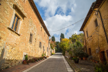 Field tuscany Italy view landscape of agriculture in the morning.