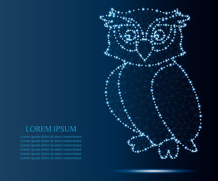 owl, polygon, blue stars 1