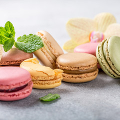 French assorted macarons with mint leaves on light gray concrete background. Holidays food concept with copy space.