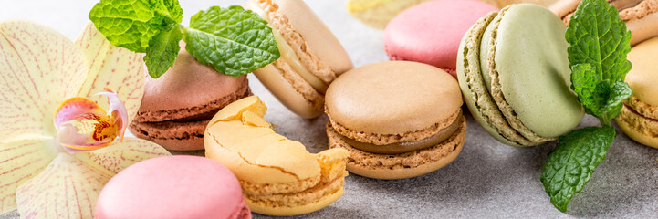 French assorted macarons with mint leaves on light gray concrete background. Holidays food concept. Banner.