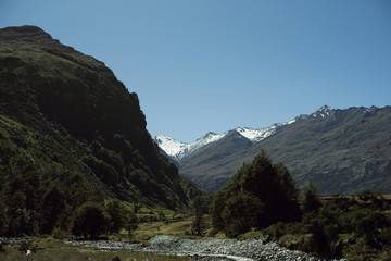 Fototapeta na wymiar Paisaje montañoso con árboles y cielo azul despejado