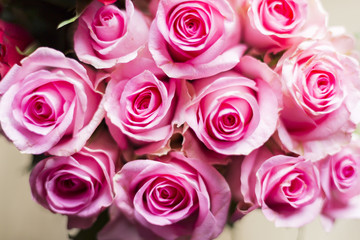 pink roses bouquet