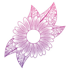 cute sunflower flower with leafs decorative