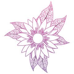 cute sunflower flower with leafs decorative