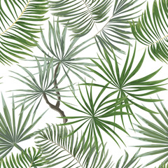 seamless pattern of bright green tropical leaves on white background.Vector Tropical palm leaves seamless pattern. Jungle floral ornamental background. Florals for your poster, banner flayer.
