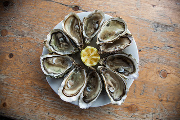 Grupo de ostras frescas en plato blanco sobre una mesa de madera.