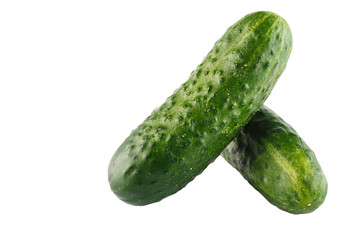 two green fresh cucumbers. Isolated. white background