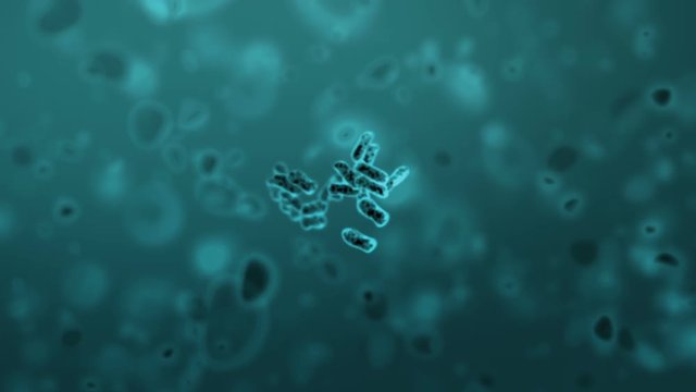 Cloning of Bacteria, beautiful 3d animation with a depth of field. Full HD 1080