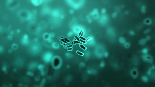 Cloning of Bacteria, beautiful 3d animation with a depth of field. Full HD 1080