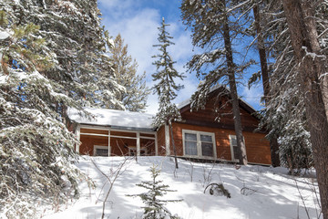 Winter Cabin 