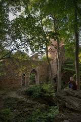 Ruins of Valdek Castle, Central Bohemian Region, Czech Republic.