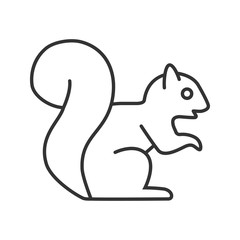 Squirrel linear icon