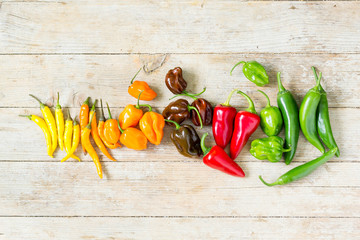 Rainbow color peppers in different types on wooden background, top view
